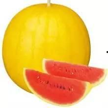 彩虹吃瓜娱乐,揭秘娱乐圈幕后故事