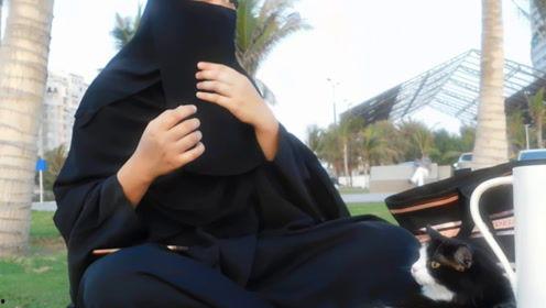 娱乐吃瓜君亚裔,亚裔明星背后的故事与魅力